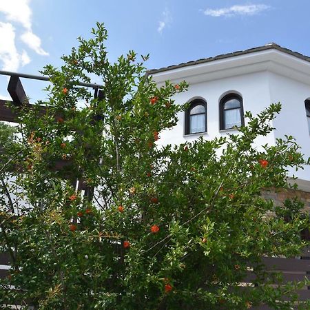 Karpofora Traditional Guesthouse Mileai Exterior photo